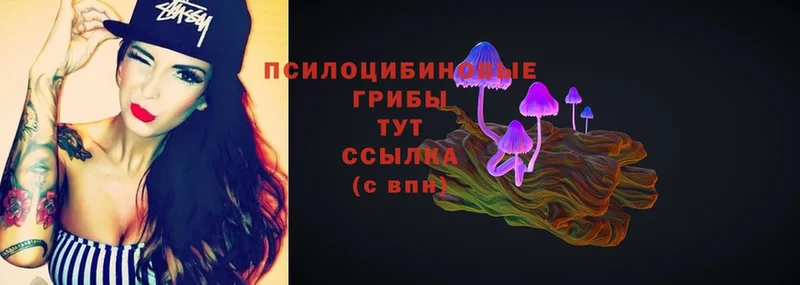 ссылка на мегу tor  Белёв  Псилоцибиновые грибы Cubensis 